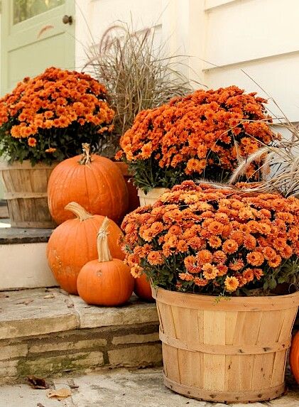 10-fast-easy-fall-porch-decorating-ideas-add-value-to-your-home-debi-collinson